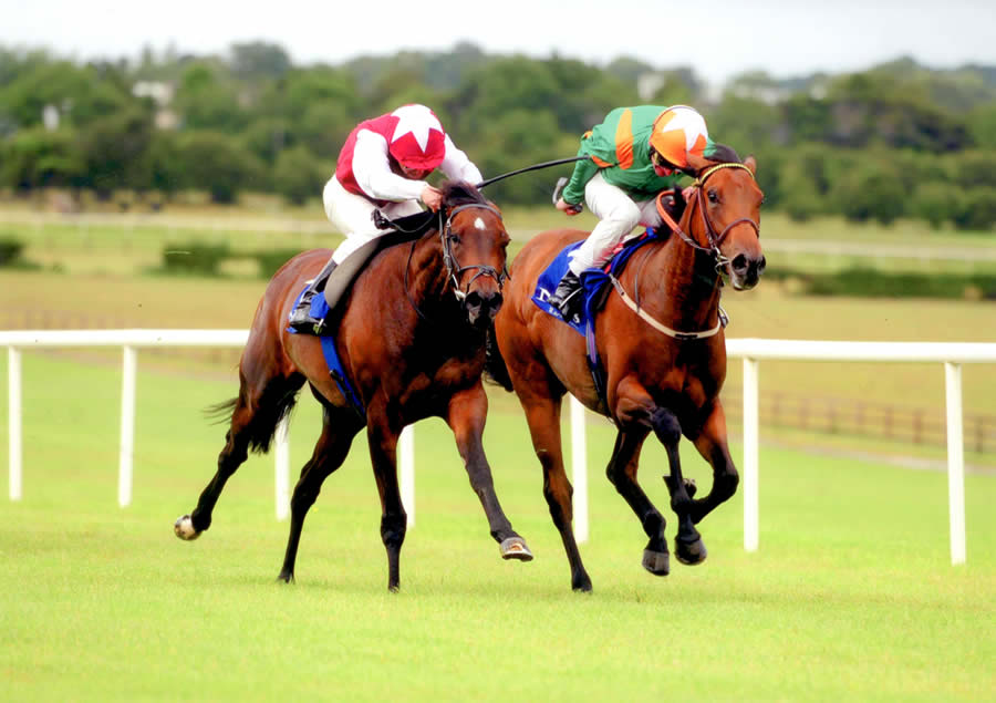 Lady Rochford Naas 6th July 2011